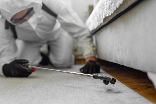 Professional Ant Control technician working in Port Jefferson, NY